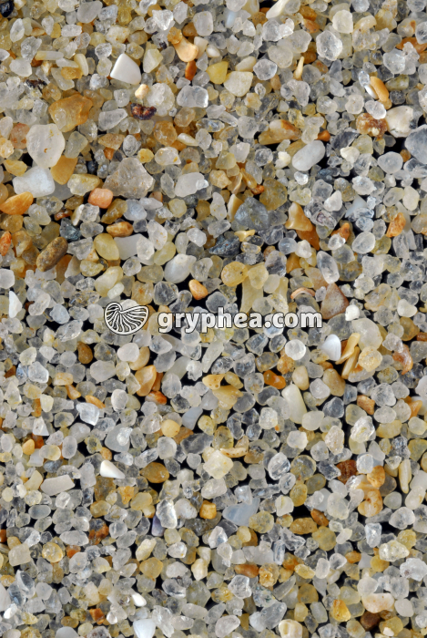 Sable quartzeux - Plage du Pornichet (Loire Atlantique) x2 - gryphea.com